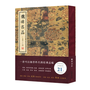 魏碑名品 经典法帖名碑张黑女碑崔敬邕墓志元桢墓志爨龙颜碑张猛龙碑董美人墓志等历代楷书名家代表性作品集碑帖精选临摹书籍