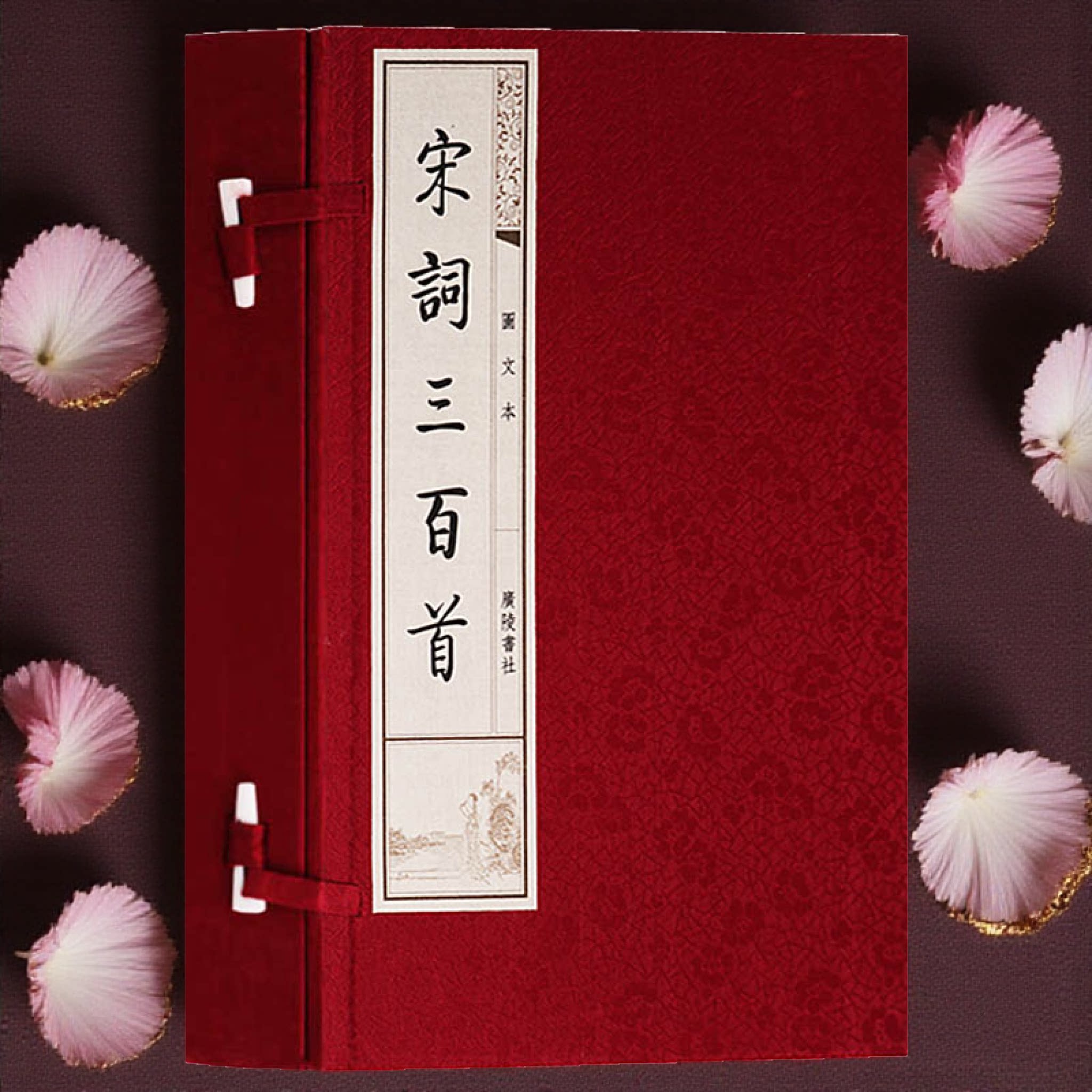 宋词三百首一函二册 宣纸竖版线装繁体字书籍珍藏版 中国古诗词鉴赏大会大全 唐诗宋词三百首国学经典书籍 广陵书社