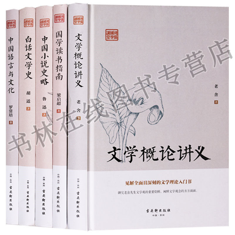 正版 鸿儒国学讲堂丛书(共5册)文学概论讲义白话文学史中国语言与文化国学读书指南中国小说史略 文学书籍 古吴轩出版社