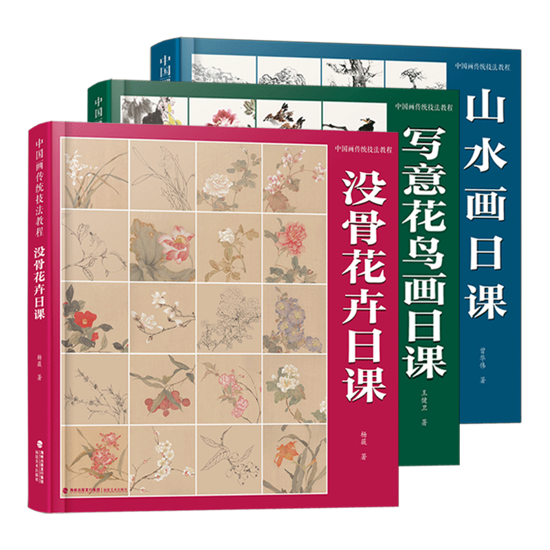 中国画传统技法教程3册 没骨花卉/山水画/写意花鸟画日课国画山水花鸟画从入门到精通自学零基础扫码看视频教学教程书临摹范本书籍