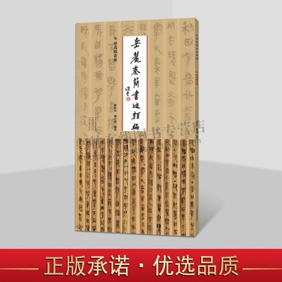 岳麓秦简书迹类编 学为伪书案 秦简牍 书法临摹赏析鉴赏书籍 研究临摹秦代简牍书体 河南美术出版社