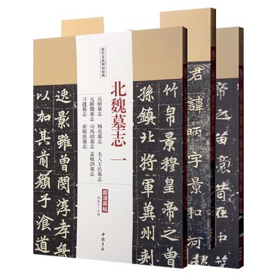 北魏墓志铭书法3册元桢元遥李璧刁遵崔敬邕于仙姬元昉王偃司马绍张玄张黑女墓志铭历代名家碑帖经典毛笔书法字帖鉴赏临摹范本书籍