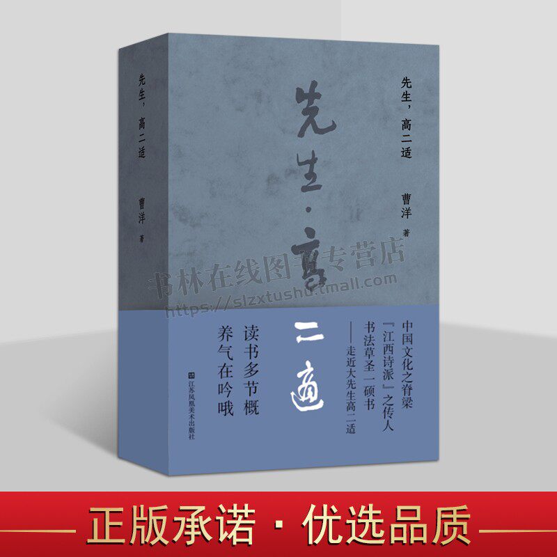 先生，高二适 曹洋 著 中国文化之脊梁江西诗派之传人书法草圣一硕书走进大先生高二适 人物传记 高二适故事集 江苏美术出版