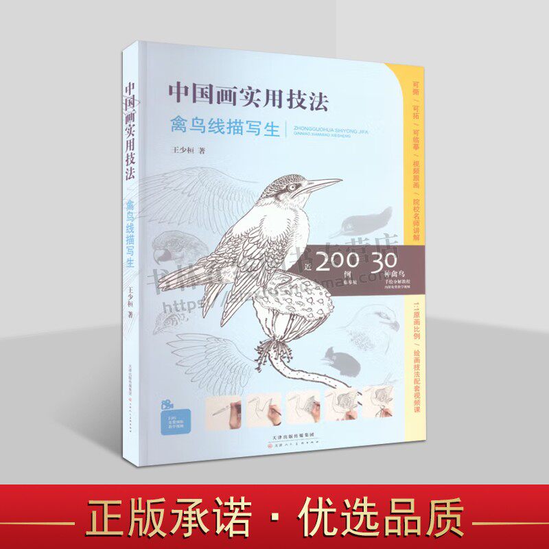 中国画实用技法 禽鸟线描写生 附教学视频 近200例临摹稿30种禽鸟手绘分解教程 美术绘画 美术写生 天津人美