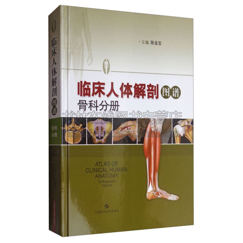 临床人体解剖图谱 骨科分册 陈金宝编手术入路解剖学内容分析解剖内容医学教材资料经典著作 畅销书籍 全新正版上海科学技术出版社