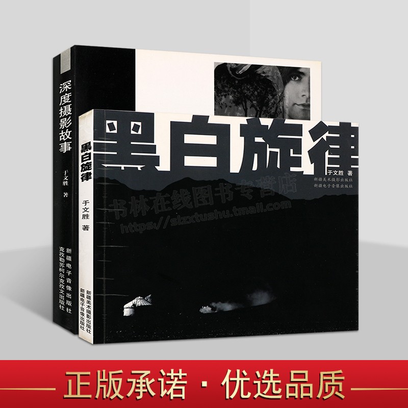 黑白摄影·深度摄影(共两册)深度摄影故事 都市心情光影与背影自然之趣生活万象岁月印痕系列 美景绘画 昆仑山系列 黑白旋律