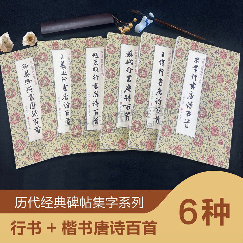 历代经典碑帖集字系列(共6册)米芾苏轼王铎王羲之颜真卿赵孟頫行书集字唐诗一百首简体旁注行书毛笔字帖 书法临摹教程 河南美术