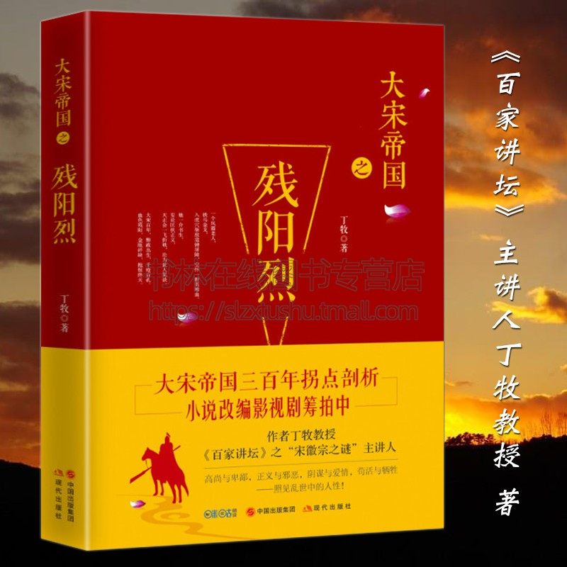 大宋帝国之残阳烈 百家讲坛丁牧著 宋朝哪些事儿名将宗泽抗金故事宋