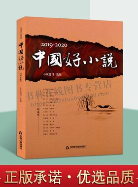 2019-2020中国好小说 短篇卷 小说选刊 短篇小说作品集 中国近现代文学小说 短篇小说精选集 名家作品集 中国书籍出版社