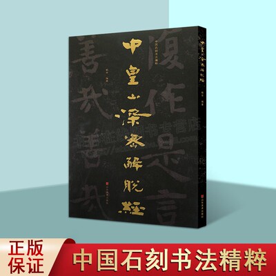 中国石刻书法精粹第四辑 中皇山深密解脱经 赖非 著 中国传统艺术经典书系 摩崖石刻书法 书法艺术 山东美术出版社