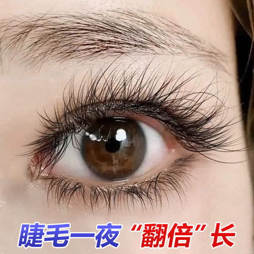 乌斯玛草睫毛增长液浓密滋养