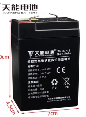 天能6V4AH3FM4电子秤地磅秤蓄电池龙威凯鹰儿童电动童车电瓶