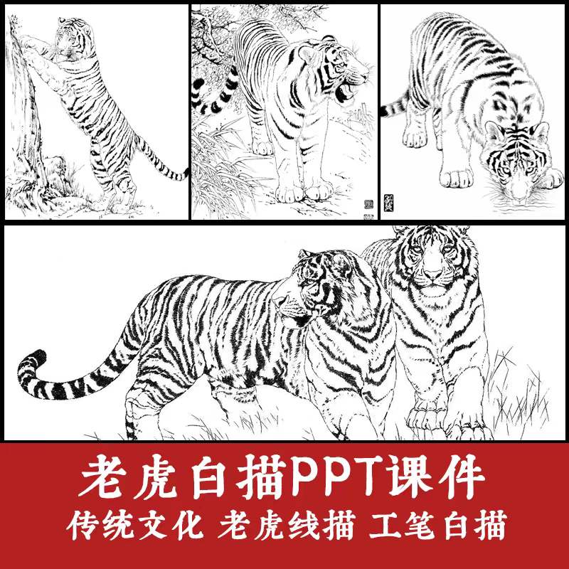 创意线描临摹ppt-课件少儿美术黑白色彩动物老虎卡通绘画图片素材