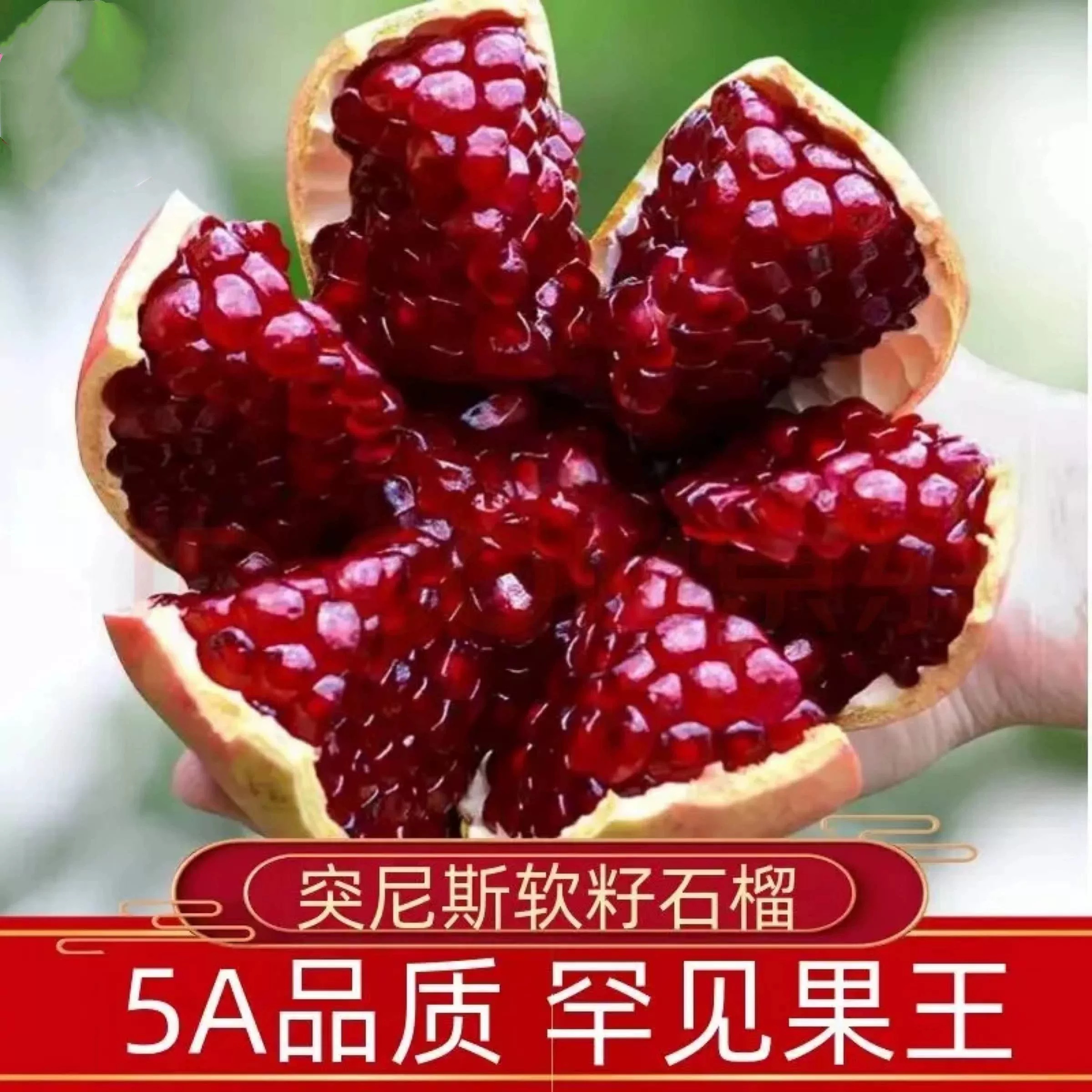 云南会泽盐水新鲜突尼斯软籽石榴