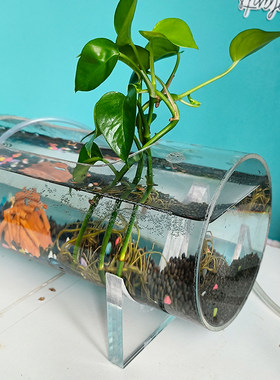 沂虹家中花园桌面鱼缸定制