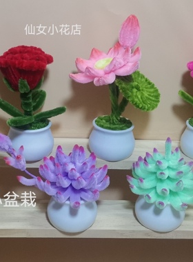 扭扭棒成品玫瑰花多肉盆栽车载摆件送老师送闺蜜送朋友送孩子