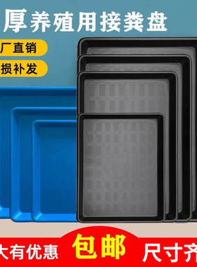 猫狗宠物笼子粪便托盘