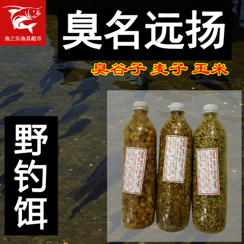 鲤鱼鱼笑香鲤鱼草鱼饵料肥水鱼