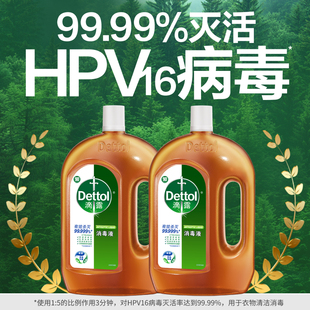 順豐速發(fā) 滴露消毒液家用洗衣消毒水衣物殺菌拖地滅活hpv16