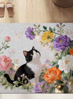 卡通猫咪丝圈脚垫入户门地垫进门垫免打理耐磨蹭土可裁剪玄关门垫