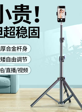 德国宾博手机支架直播专用自拍杆三脚架带补光灯拍照神器拍摄支撑架2025新款落地架子多功能拍视频万能通用