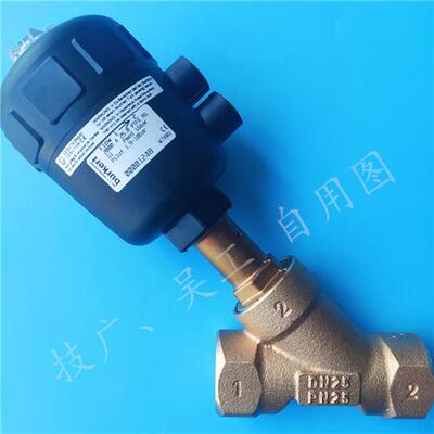 议价2000宝德角座阀1248 178860不锈钢螺纹款DN25全新现货