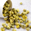 杭白菊胎菊花茶50g 包邮