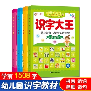 学前儿童看图识字书幼儿认字启蒙用书幼小衔接入学准备常用汉字幼儿园中班大班学前班幼升小一年级教材全套老师推荐 卡片大王神器