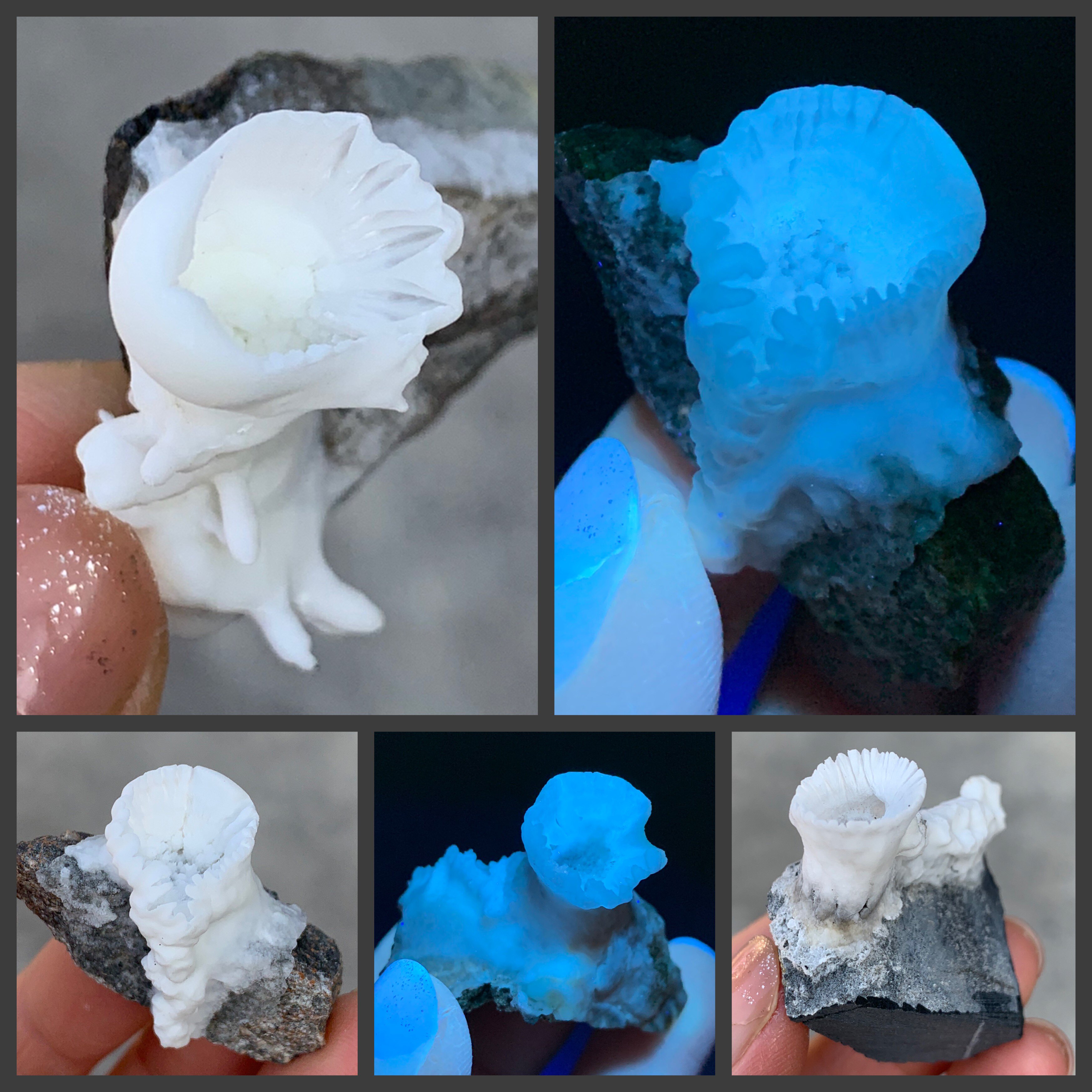 新品种 花状 酒杯状文石 天然矿物晶体 矿石标本 原石奇石摆件