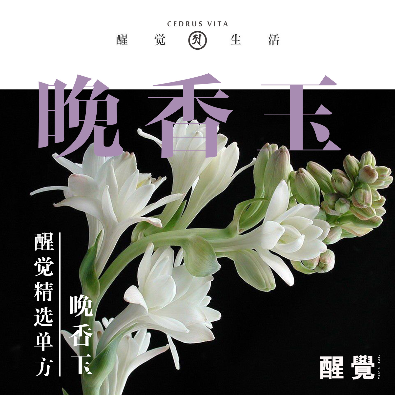 醒觉神圣植物 精选晚香玉纯精油 复杂甜美 夜之芬芳成熟肌肤回春