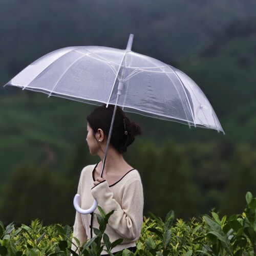 110cm加大抗风男女长柄透明雨伞