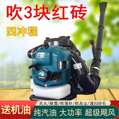 中国纯汽油四冲程省油