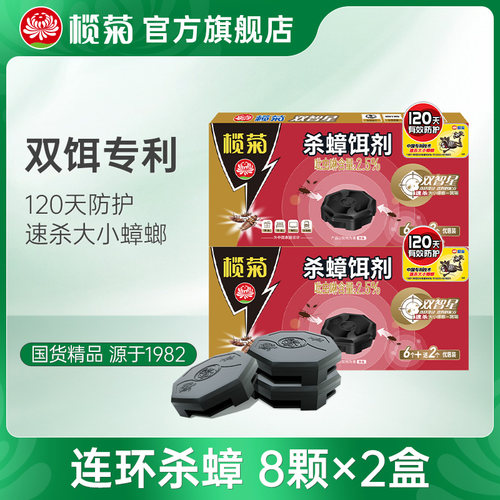 榄菊蟑饵双智星家用大小一窝端