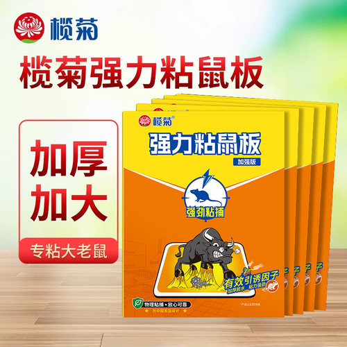 榄菊粘鼠板强力加厚老鼠贴