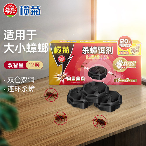 榄菊杀蟑饵剂双智星杀通用克星