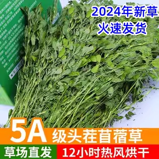 洁西苜蓿草兔子粮龙猫1000克多省