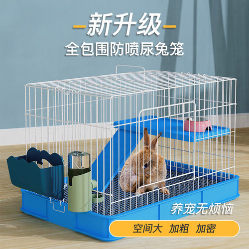 洁西兔笼防喷尿荷兰猪豚鼠