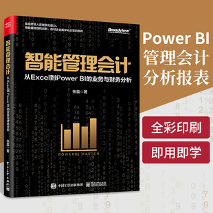 业务与财务分析 张震 Power 数据建模数据可视化财务报表分析 智能管理会计 入门教程书籍商业智能分析技术 从Excel到Power