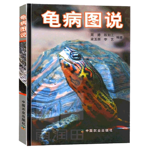 养龟书籍 正版龟病图说乌龟养殖书养好宠物龟大全宠物乌龟高效养殖技术书龟肠胃炎的书龟病防治龟类图鉴养好龟蛋龟金钱龟饲养手册