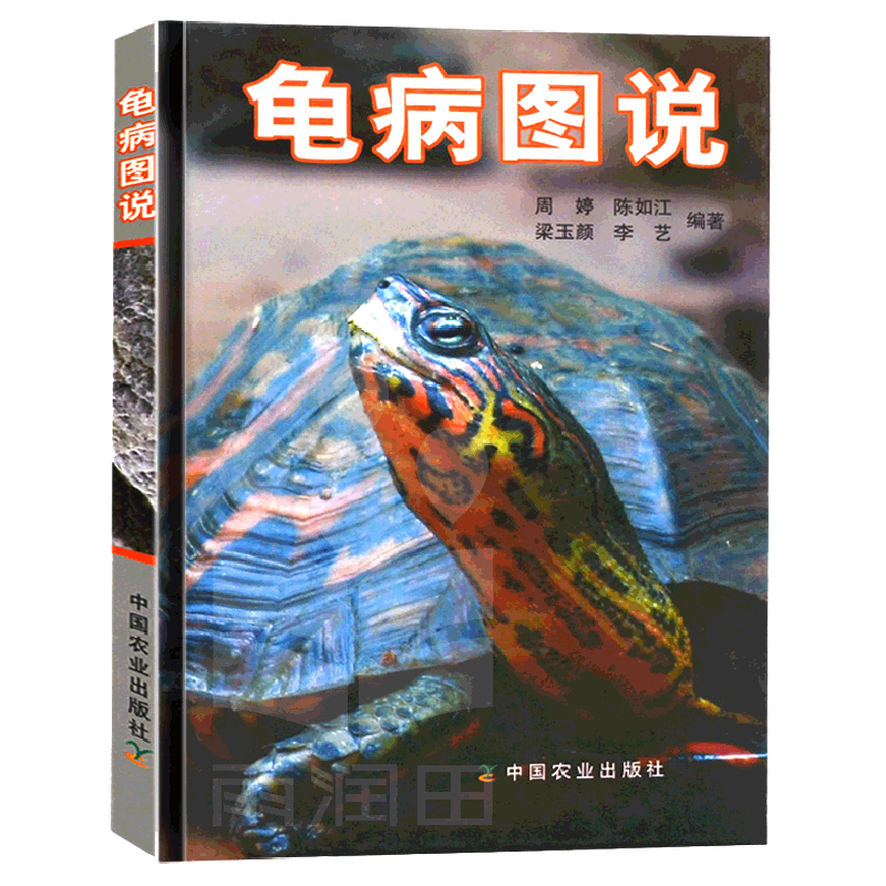 养龟书籍正版图说宠物大全