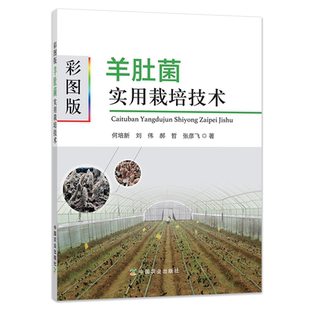 彩图版羊肚菌实用栽培技术 羊肚菌栽培种植新技术书大棚高效食用菌磨姑菌种农业种植实用书籍资料知识大全农作物高产病虫害防治