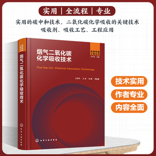 烟气二氧化碳化学吸收技术 方梦祥 碳中和技术碳减排 二氧化碳减排二氧化碳吸收 能源工程环境工程化工工艺等专业技术人员参考
