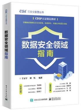 数据安全领域指南 王安宇 数据安全范畴和目标 CDSP认证教材 高等院校网络空间安全 计算机信息技术类专业教材书籍 电子工业出版社