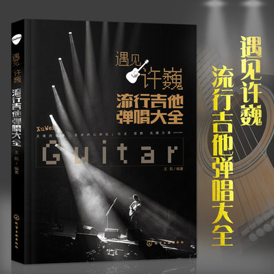 遇见许巍 流行吉他弹唱大全 吉他谱吉他教程初学者入门基础书流行歌曲经典教材初学自学基本谱集指弹曲谱教学零基础乐谱弹唱书籍