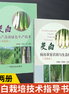 全2册 茭白稳产高效生产技术+病虫草害识别与生态控制 茭白病虫草害识别与生态控制 茭白种植书籍 蔬菜种植栽培技术指导书籍