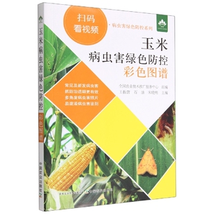 玉米种植技术玉米病虫害绿色防控彩色图谱玉米病病虫害防治书农药知识农作物常见及新发病虫害多角度病虫害照片病虫害鉴别技术大全