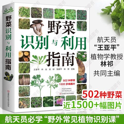 野菜百科
