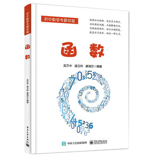 初中数学专题突破中学教辅 中学生数学自学教程 中学数学练习 函数 数学基础知识 初中数学专题突破 中学数学教辅书 初中知识清单