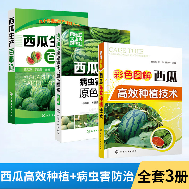 全3册 彩色图解西瓜高效种植技术+西瓜甜瓜病虫害诊治原色图鉴+西瓜生产百事通 农业水果大棚西瓜种植栽培嫁接技术书籍大全病虫害