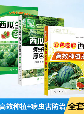 全3册 彩色图解西瓜高效种植技术+西瓜甜瓜病虫害诊治原色图鉴+西瓜生产百事通 农业水果大棚西瓜种植栽培嫁接技术书籍大全病虫害